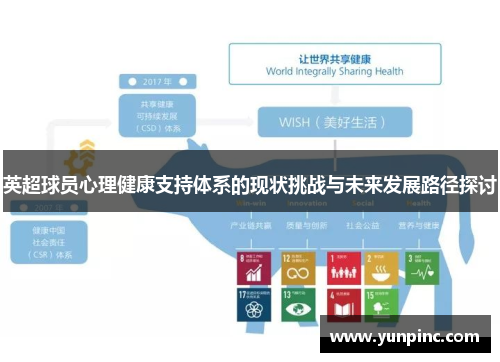 英超球员心理健康支持体系的现状挑战与未来发展路径探讨